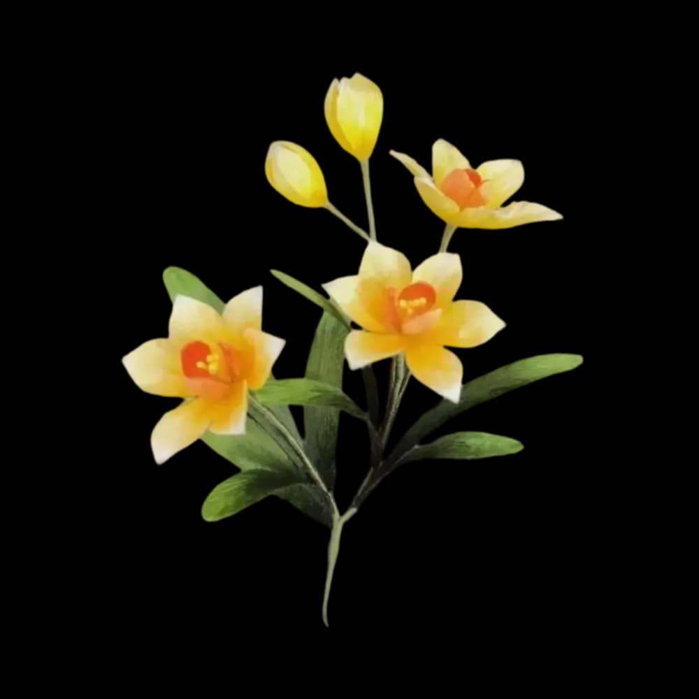 1014 narcissus rong hua-embrace yourself